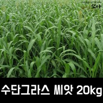 수단그라스씨앗 20kg 만생종 녹비작물 농사모아, 1개