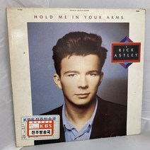 RICK ASTLEY LP / 엘피 / 음반 / 레코드 / 레트로 / AA2282