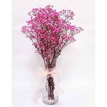 수앤로즈플라워 꽃화병세트 프리저브드플라워 안개꽃 시네신스 유칼립투스 블랙잭 드라이플라워 졸업식꽃다발 졸업식선물 꽃선물, 안개꽃-연핑크