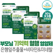 70대 두뇌 건강 필수 영양제 은행추출물 징코 GINGKO 건강기능식품 뇌영양제 기억력영양제 플라보놀배당체 개선제 플라보놀 고함량 할머니 혈관에좋은 60대 시니어 선물 머리 브레인