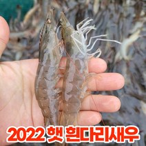 삼시세끼연구소 국내산 다이아몬드 흰다리새우 대하 활새우 생새우 소금 구이용 생물 냉동 급냉 냉장 살 왕 특대 캠핑용 자연산 1kg, 활 흰다리새우 1kg