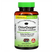Herbs Etc Chlorophyll 엽록소 120캡슐 1개
