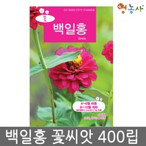 백일홍씨앗 중포장 400립, 백일홍중포장, 백일홍중포장