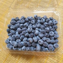 국산 몸에 좋고 눈에 좋은 블루베리 1kg, 1, 쿠팡 본상품선택