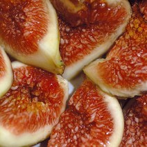 남도 생무화과 산지직송 햇무화과 생과 청무화과 건무화과 1kg, 특상(8~10과), 1개