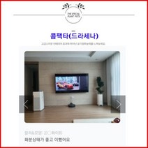 없음 [반값화분] MAIN-대형콤팩타130(드라세나) 직접배송 축하화분 개업화분 거실화분 카페화분 인테리어화분 아레카야자 극락조 알로카시아 파키라 고무나무, 기본상품(막분+접시받침)