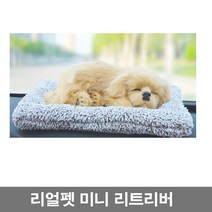 하하투게더 리얼펫 제습인형 골든 리트리버 살아있는 강아지 자동차, 1개
