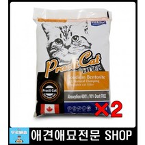 고양이배변훈련 아기고양이화장실 고양이쇼핑몰 고양이모래순위 고양이파우더 캣화장실모래 아기고양이배변