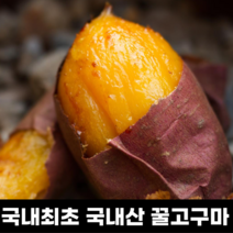 구월농장 꿀 고구마 소담미 5KG 10KG, 특상