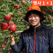 1+1(2박스) 아삭한 달콤한 보조개 꼬마 작은 큰 꿀 청송 홍로 부사 20 kg 키로, 정품 대 10kg(24-28과) 2박스