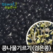 [22년 11월 햇콩 출하] 국산 콩나물콩 키우기 쥐눈이콩 서목태 간편재배 잡곡밥용으로도 좋아요 진도장모와 서울큰사위, 1개, 2kg
