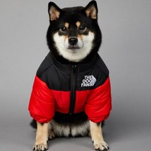 2023 SUPREPET패딩 개 겨울 옷 따뜻한 방풍 솔리드 코트 코튼 디자이너 대형 강아지 액세서리, 빨간+XXL