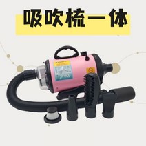 애완동물 애견드라이기 빅사이즈 강아지 털말리기 반려견 고양이 애견 미용 드라이기, 【新品】樱花粉（吸吹梳一体机）