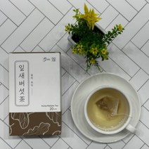 머쉬온 잎새버섯차 20티백 티백차 약용버섯차