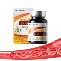 낫토키나제 혈행개선 낫토키나제 약2개월 영양제
