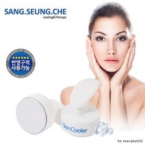 하라미마켓 상승체 스킨쿨러 피부 마사지기 얼굴 관리 아이스팩 진정 쿨팩 제거 화장, 단품