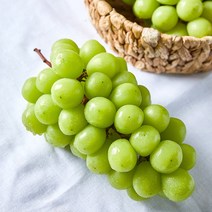 산지직송 쭌이네 당도보장 샤인머스켓 1kg/2kg, 샤인머스켓 1kg(1-2수-대), 1개