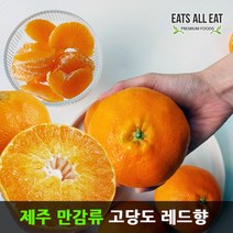 이츠올릿 제주 감귤 레드향 (선물용 중대17-25과) 5kg 제주도 하우스 귤 택배 선물 세트