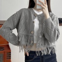 여자 프린지 아가일 펀칭 보헤미안 가을 숏가디건