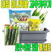 고추 키우기 세트 재배기 고추키우기흙 집 에서 집에서 고추 재배 키트, 고추키우기 세트