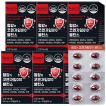 본트비 혈압 코엔자임Q10 코큐텐 항산화 밸런스, 60캡슐, 6개
