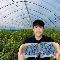 칠레 생 블루베리 생과 미국산 국산 250g +250g 500g