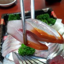 산지직송 전어 구이용 횟감용, 50_활전어회 500g