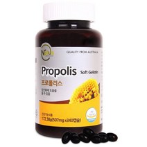 엔플러스 프로폴리스 507mg x 340캡슐 / 면역력 높이는 영양제 호주산 코스트코