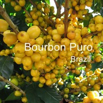 [위트러스트] 브라질 부루봉 푸루 200g Brazil Bourbon Puro/ 스페셜티 커피 원두, 모카포트