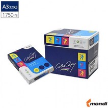 A3 복사용지 1750매 백색 120g 컬러 레이져 전용, 상세페이지 참조