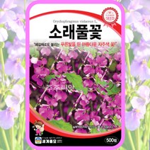 소래풀 꽃 씨앗 제비냉이 종자 500립 봄 여름 가을 꽃씨앗, 단품