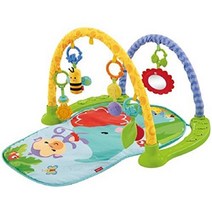 Fisher-Price Link n Play 뮤지컬 체육관, 단색, 한 사이즈