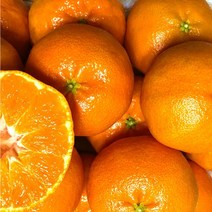 제주 제주도 레드향 천혜향 가정용 선물용 3kg 5kg 10kg, 천혜향 가정용 5kg 20과내외
