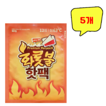 올덴 프리미엄 화롯불 붙이는 핫팩 x 5개, 1개