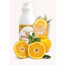 고로 쉘몬 원액 한라봉 과육타입 1kg, 1개, 1L