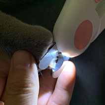 강아지발톱자르기 새끼 아기 고양이 강아지 손톱 발톱 가위 깎이 깎기 깍기, [on]LED네일클리퍼-블루