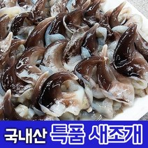 국내산 여수 자연산 손질 새조개 특품으로 골라 보냅니다. 샤브샤브 횟감용 2.5kg 손질 생물 실중량 500g 내외 산지직송, 1. 특품 손질 새조개(500g내외)