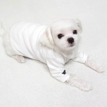 도기코디 무지 긴팔 티셔츠 애견 강아지봄옷 가을옷, 화이트
