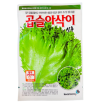 곱슬아삭이상추 씨앗 300립 코팅 유럽상추 종자 권농종묘
