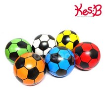놀이체육 스포츠 축구공 6종세트 유아교육기관 근육발달