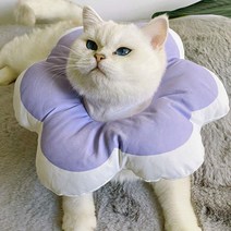 고양이 수술 후 방수 쿠션 꽃모양 넥카라 푸들 애견, 블루(L)