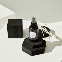 러쉬 Type 룸 & 패브릭퍼퓸 차량용 섬유스프레이 80ml 100ml 120ml 250ml 비아퍼퓸 로즈잼 더티 트와일라잇 바닐라리 대디오 아메리칸크림 카마 가디언오브더포레스트, 100ml (클리어), 가디언 오브 더 포레스트 NEW