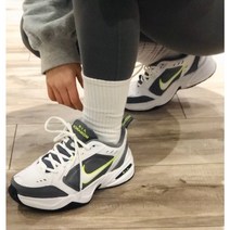 나이키 에어 모나크 4 화이트 그레이 415445-100