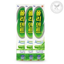 폴리덴트 의치접착제 후레쉬향 70g 3개 의치용 틀니접착제, 상세페이지 참조