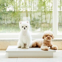 [대리석아빠] 냉매제 10시간지속! 강아지 고양이 애견 대리석 대용량 아이스팩 쿨매트, 세트(중) 대리석 + 받침대 + 아이스팩2