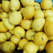 실속못난이 기스흠집 정품팬시 140과 미국 레몬 (중과120g내외), 중과120g, 60입