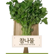 신선따옴 국내산 참나물 1/2/4kg <아이스박스 무료배송>, 4kg, 1개” class=”wr-img”></a></div>
</div>
</div>
</div>
<div class=