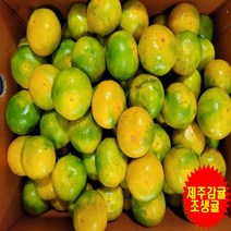 [프레시푸드마켓] 제주하우스감귤 조생귤 1.5KG 2.5KG 5KG 10KG, 1개