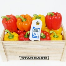 지리산에서 자란 트리벨리급 고당도 파프리카 가정용 2kg, 1개