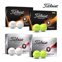 타이틀리스트 2023 Pro V1 V1X 골프볼, Pro V1(화이트)